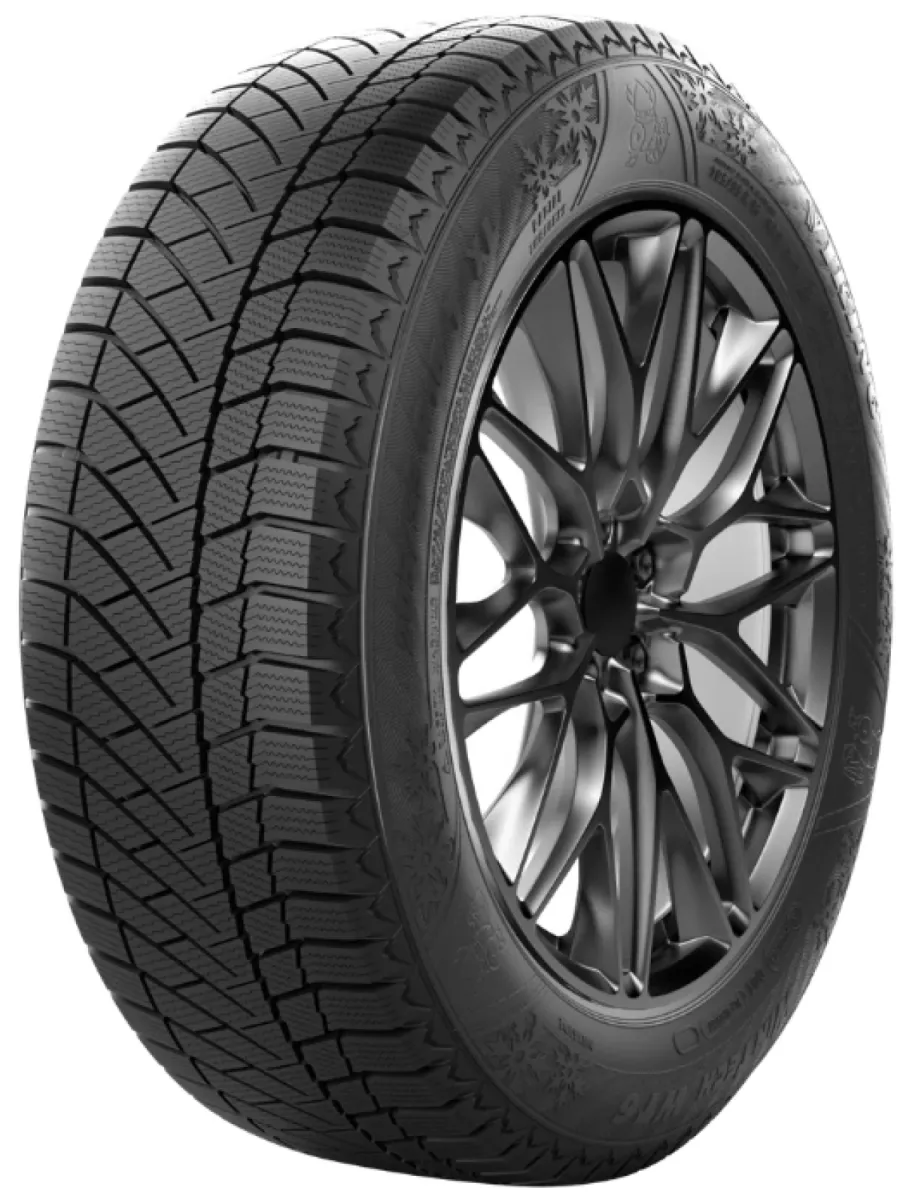 Viking WINTECH WT6