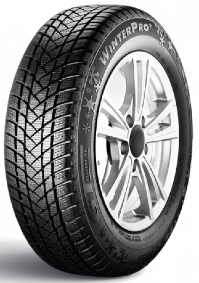 GTRadial WINTERPRO2