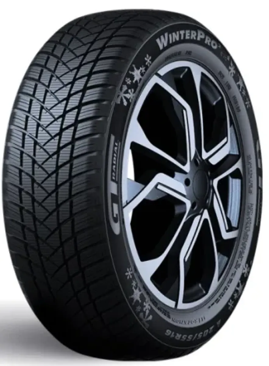 GTRadial WINTERPRO2 EVO